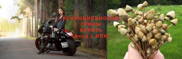 амф Алзамай