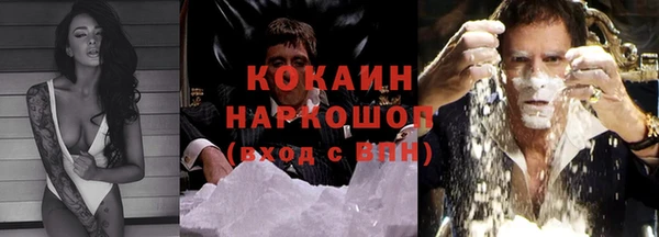 соль ск Алексин